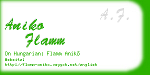 aniko flamm business card