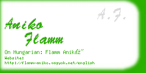 aniko flamm business card